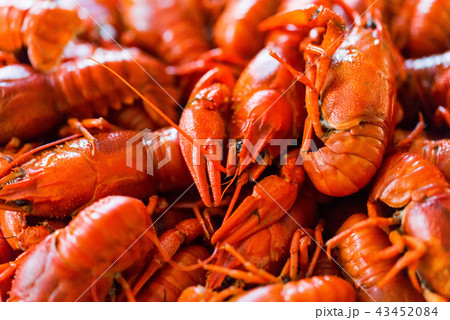 Tasty red boiled crayfish close up background Tasty red boiled crayfish close up background 43452084