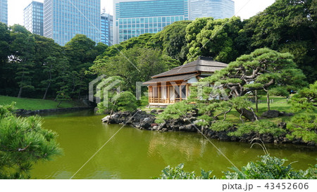 も ガーデン 庭園 43452606