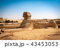 The full profile of the Great Sphinx with  43453053