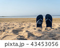 flip flop on yellow sand Summer fun time 43453056