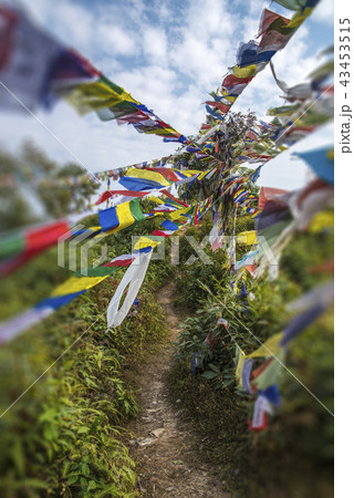 colorful waving prayer flags 43453515