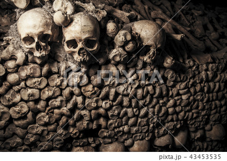 catacombs of Paris 43453535