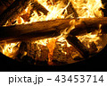 Bonfire burning in the dark, flame close up 43453714