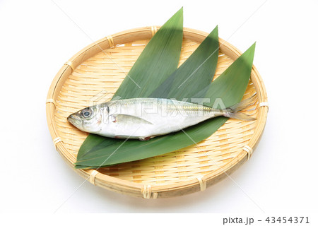 鯵 43454371