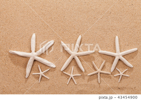 beach summer vacation background with starfish 43454900