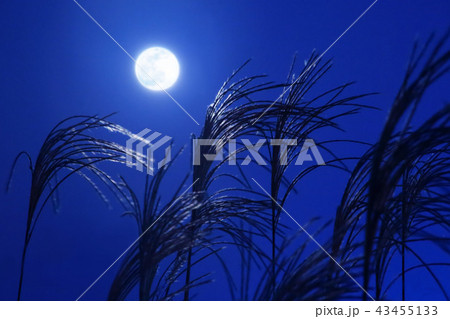 ススキと中秋の名月 43455133