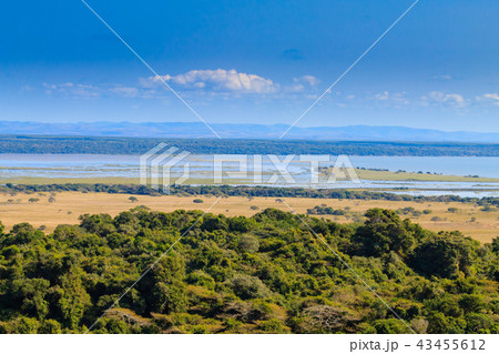 Isimangaliso Wetland Park landscape 43455612