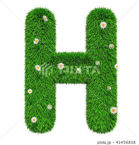 Green grassy letter H with flowers, 3D rendering 43456838
