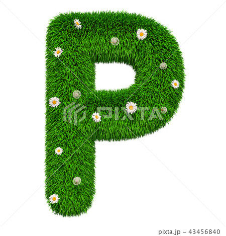 Green grassy letter P with flowers, 3D rendering Green grassy letter P with flowers, 3D rendering 43456840