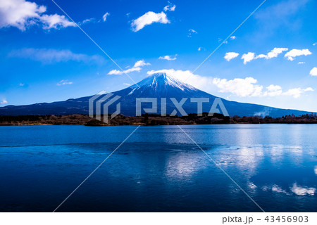 薄氷の張った田貫湖と富士山 43456903