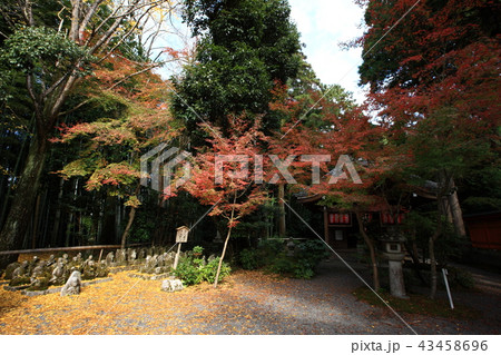 赤山禅院より 赤山禅院より 43458696
