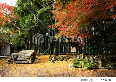 赤山禅院より 赤山禅院より 43458701