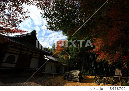 赤山禅院より 赤山禅院より 43458702