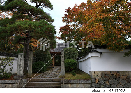 源光庵より 43459284