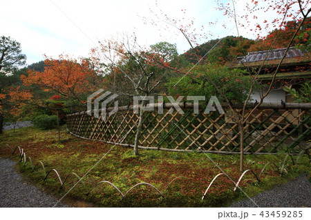 光悦寺より 43459285