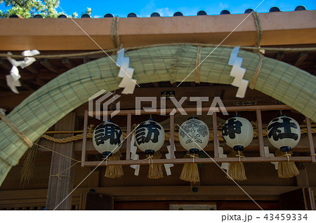 諏訪神社例大祭茅の輪 諏訪神社例大祭茅の輪 43459334