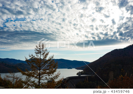 秋の有峰湖　富山県富山市　有峰 43459746