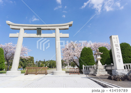 [千葉県]　鶴谷八幡宮 43459789