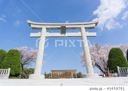 [千葉県]　鶴谷八幡宮 43459791