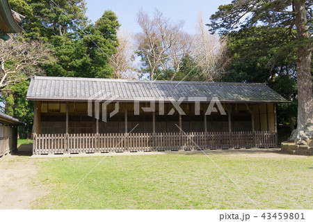 [千葉県]　鶴谷八幡宮 43459801