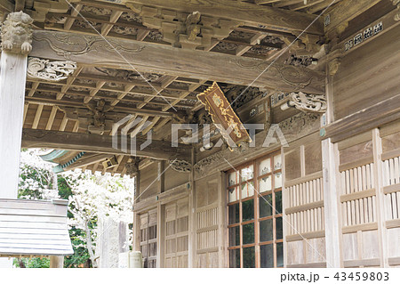 [千葉県]　鶴谷八幡宮 43459803