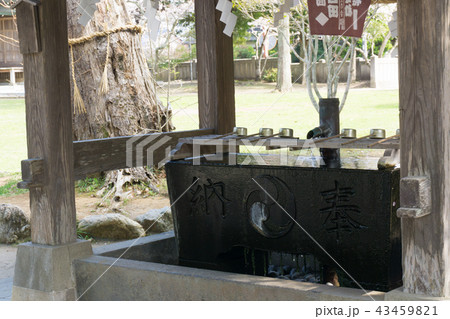 [千葉県]　鶴谷八幡宮 43459821