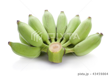 Bananas,Thai cultivated banana on white backgrond Bananas,Thai cultivated banana on white backgrond 43459864