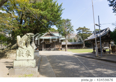 [千葉県]　鶴谷八幡宮 43459876