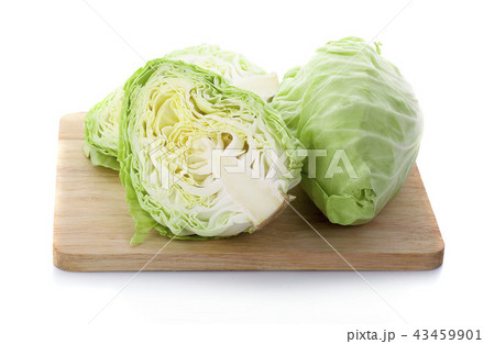 Cabbage isolated on white background 43459901