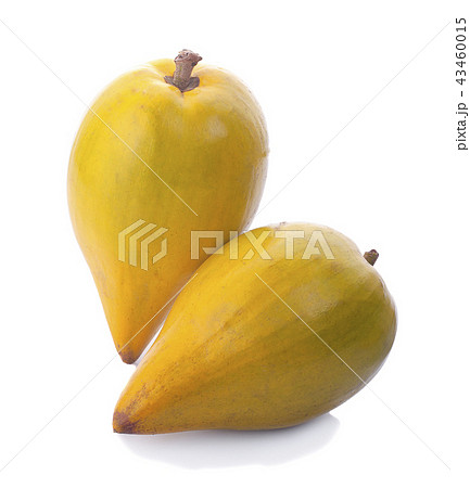 Egg fruit, Canistel, Yellow Sapote (Kunth) 43460015