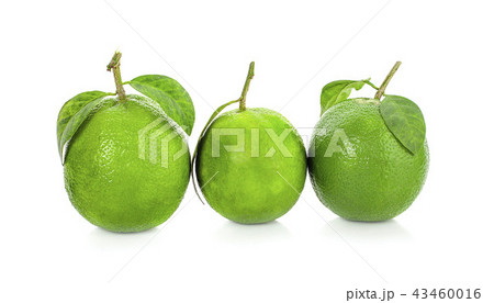 lime citrus fruit (lime cut) isolated on white 43460016