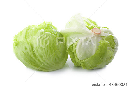Green Iceberg lettuce on White Background Green Iceberg lettuce on White Background 43460021