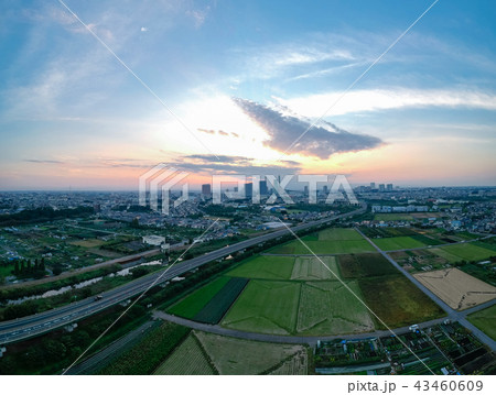 空撮　さいたま新都心と見沼田んぼの夕暮れ 43460609
