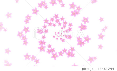 桜・スパイラル 43461294