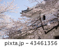 桜散るお城 43461356