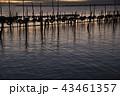 朝の湖面 43461357