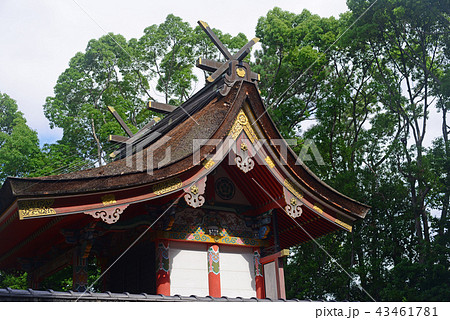 池田八坂神社-5 池田八坂神社-5 43461781