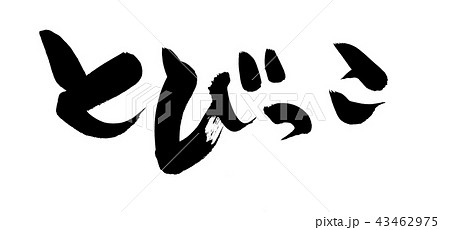 筆文字　とびっこ　食べ物　イラスト 43462975