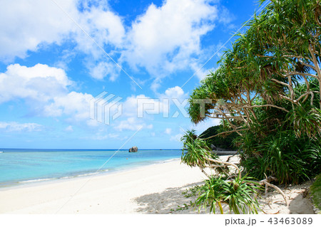 奄美大島 ビーチ 大浜海浜公園 奄美大島 ビーチ 大浜海浜公園 43463089