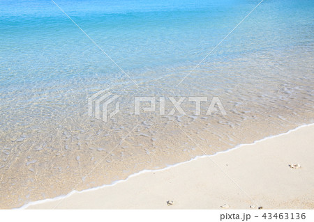 奄美大島　国直海岸　ビーチ 43463136