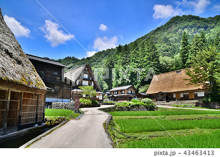 五箇山　相倉集落 43463413