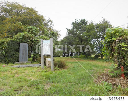 関宿城本丸跡 関宿城本丸跡 43463473