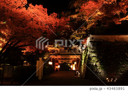 岡山城より 43463891