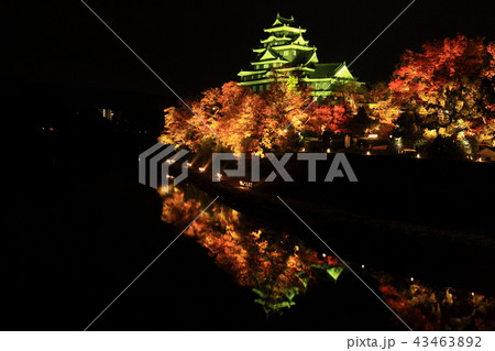 岡山城より 43463892