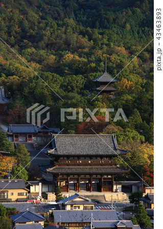 雙ヶ岡より 雙ヶ岡より 43463893