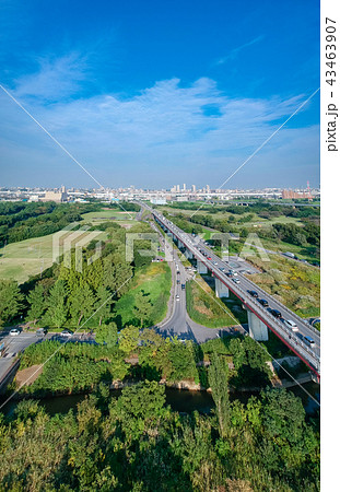 空撮　荒川河川敷から秋ヶ瀬公園方向を望む 43463907