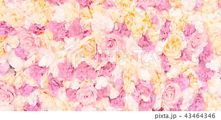 薔薇 バラ科 バラ 43464346