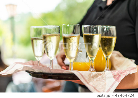 Champagne or sparkling wine in glasses in restaurant served by servant 43464724