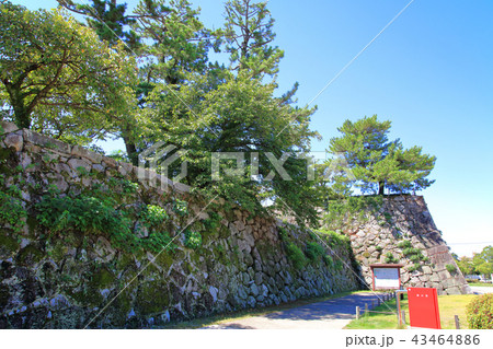 佐賀城　佐賀城跡　天守台　石垣 43464886