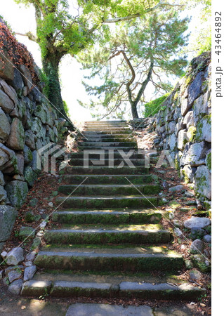 佐賀城 佐賀城跡 天守台 石垣 佐賀城 佐賀城跡 天守台 石垣 43464892